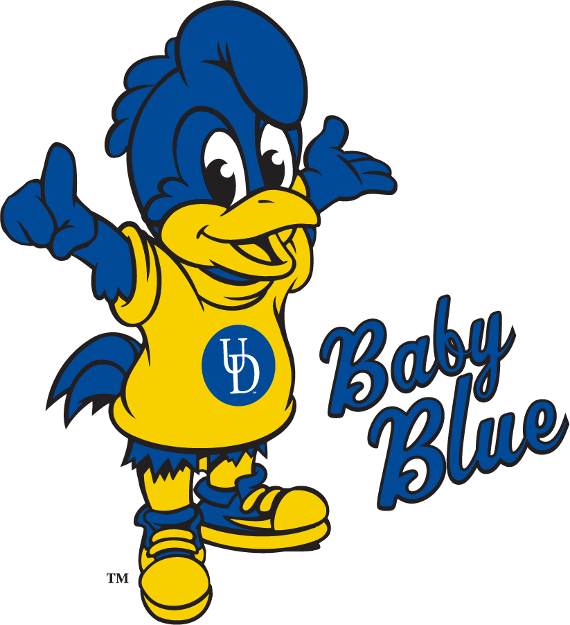Delaware Blue Hens 2018-Pres Mascot Logo iron on transfers for clothing